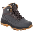 Bottes d'hiver homme Jack Wolfskin Everquest Texapore Mid girs dark grey / phantom