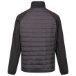 Veste homme Regatta Clumber IV Hybrid