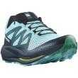 Chaussures de running hommes Salomon Pulsar Trail bleue Blue Radiance / Carbon / Emerald