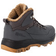 Bottes d'hiver homme Jack Wolfskin Everquest Texapore Mid