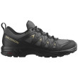 Chaussures homme Salomon X Braze Gore-Tex