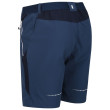 Short homme Regatta Mountain ShortsII M