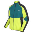 Veste homme Regatta Yare V green PacifG/BrKiw