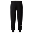 Pantalons de survêtement hommes The North Face M Drew Peak Pant