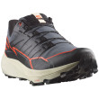 Chaussures de running hommes Salomon Thundercross Gore-Tex noir / rouge Turbulence / Black / Cherry Tomato