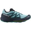 Chaussures de running hommes Salomon Pulsar Trail