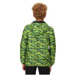 Veste enfant Regatta Printed Lever (2023)