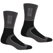 Chaussettes homme Regatta Samaris2SeasonSck vert Black/DkStee