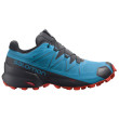 Chaussures homme Salomon Speedcross 5 GTX