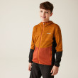 Sweatshirt enfant Regatta Prenton III