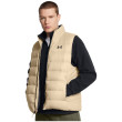 Gilet homme Under Armour Legend Down Vest