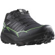 Chaussures de running hommes Salomon Thundercross Gore-Tex vert Black / Green Gecko / Black