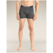 Caleçon homme Icebreaker Mens Anatomica Boxers