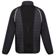 Veste homme Regatta Steren II Hybrid