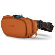 Sac banane Pacsafe ECO waist pack