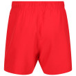 Short homme Regatta Mawson SwShortIII