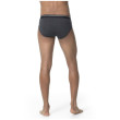 Slip homme Icebreaker Mens Anatomica Briefs