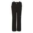 Patalon femme Dare 2b Stand For Pant vert