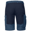 Short homme Fjällräven Barents Pro Shorts M