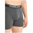 Caleçon homme Icebreaker Mens Anatomica Boxers