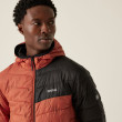 Veste homme Regatta Hooded Hillpack III