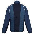 Veste homme Regatta Steren II Hybrid