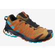 Chaussures homme Salomon Xa Pro 3D V8 brun Bistre