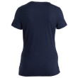 T-shirt fonctionnel femme Icebreaker Women Merino 150 Tech Lite III SS Tee Hike Path