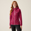 Sweat-shirt femme Regatta Wms Hood Newhill