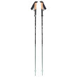 Bâtons randonnée Black Diamond Pursuit FLZ Trekking Poles