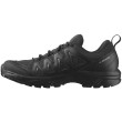 Chaussures homme Salomon X Braze Gore-Tex