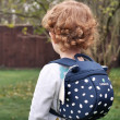 Sac à dos enfant LittleLife Toddler Backpack Poisson