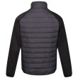 Veste homme Regatta Clumber IV Hybrid