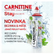 Boisson énergétique Nutrend Carnitine Magnesium Activity Drink