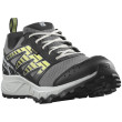 Chaussures de running hommes Salomon Wander Gore-Tex girs Quiet Shade / Lunar Rock / Sunny Lime