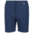 Short homme Regatta Mountain ShortsII M bleue BlueWing/Nav