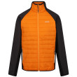 Veste homme Regatta Clumber IV Hybrid orange Orange Pepper/Ash