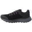 Chaussures homme Jack Wolfskin Terraventure Urban Low M (black)