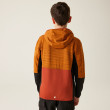 Sweatshirt enfant Regatta Prenton III