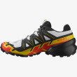 Chaussures homme Salomon Speedcross 6