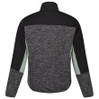 Sweat-shirt homme Regatta Coladane VI