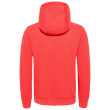 Sweat-shirt homme The North Face Drew Peak Pullover Hoodie