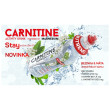 Boisson énergétique Nutrend Carnitine Magnesium Activity Drink