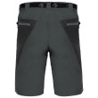 Short homme Direct Alpine Vulcan Short