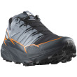 Chaussures de running hommes Salomon Thundercross Gore-Tex girs Flint Stone / Carbon / Orange Pepper