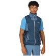 Gilet homme Regatta Lankin V