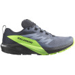 Chaussures de running hommes Salomon Sense Ride 5 Gore-Tex