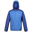 Veste homme Regatta Trutton II bleue Strong Blue/New Royal