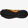 Chaussures homme Salomon Speedcross 6