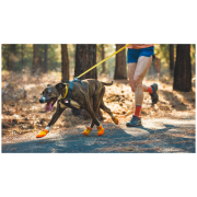 Chaussures pour chien Ruffwear Summit Trex™ Shoes